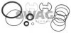 SWAG 10 91 9147 Gasket Set, hydraulic pump